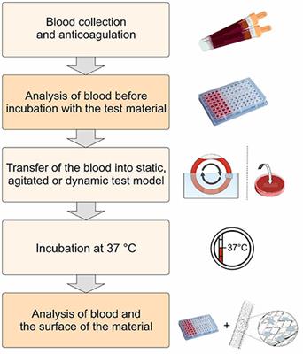 Blood-Contacting Biomaterials: In Vitro Evaluation of the Hemocompatibility